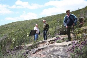 Los grabados de Las Tabrillas han sufrido atentados. ::                             J.M.DOMINGUEZ