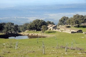 Vista de las Berrozanas, las Alturas y llanos de la Oliva desde el alto de la Moratilla en Valcorchero. ::                             P.