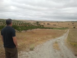 La planta se asentará en estos terrenos situados a unos 4 kilómetros del pueblo.  ::                             A. R. R.