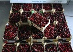 La Policía Local se incauta de 100 kilos de cerezas que se vendían en la calle