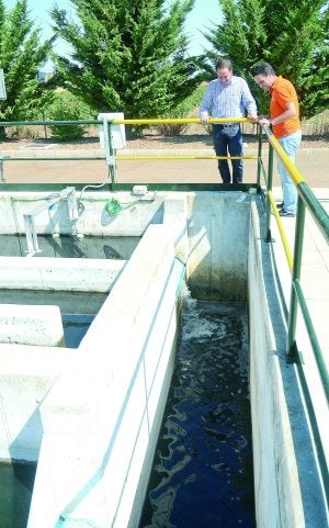 La Albuera. Esta depuradora funciona desde 2008 y actualmente la gestiona el consorcio Promedio. ::                             CASIMIRO MORENO