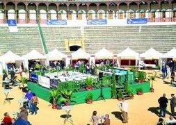 LA PLAZA ACOGIÓ LA FIESTA DEL VINO