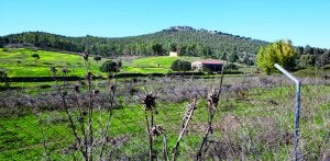 Vista general del monte Arropez en el que se plantarán alcornoques, encinas y pinos y en cuyo cerro se abrirá un mirador. ::
JORGE REY