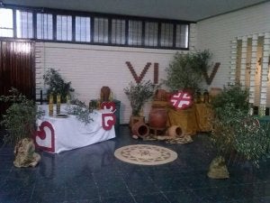 Olivar solidario en la Santa Cruz