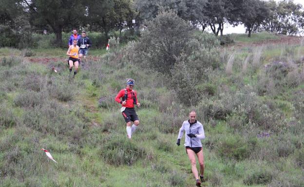 Carrera de 2017 