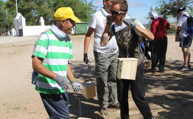 Colocación de las cajas nido 