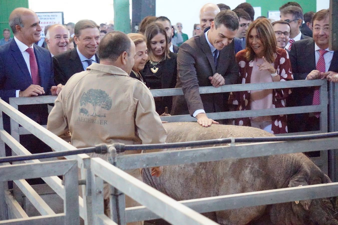 El presidente en funcionaes acompañado por las autoridades visió la feria 