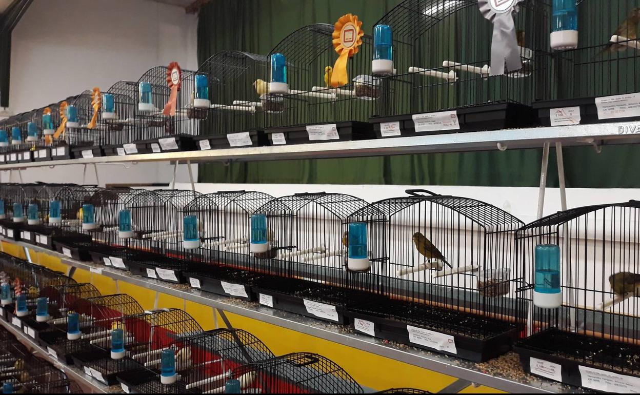 Una parte de la exposición en la Caseta Municipal 