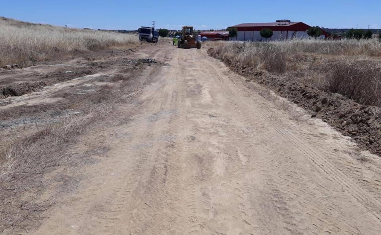 Las máquinas trabajan en el camino que será utilizado durante la obra 
