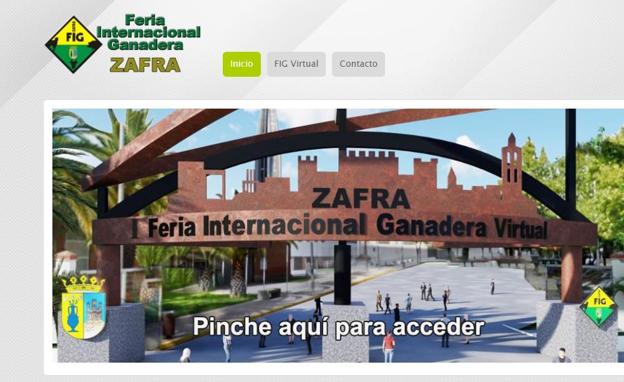 Acceso a la plataforma desde la web de la FIG 