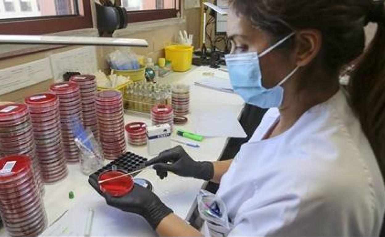 Este fin de semana se notifican 3 casos positivos por coronavirus y son ya 55 el total de personas diagnosticadas