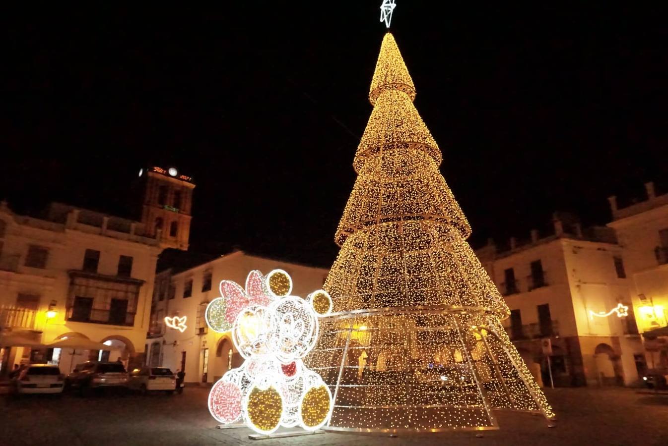 Abeto de la Plaza Grande 