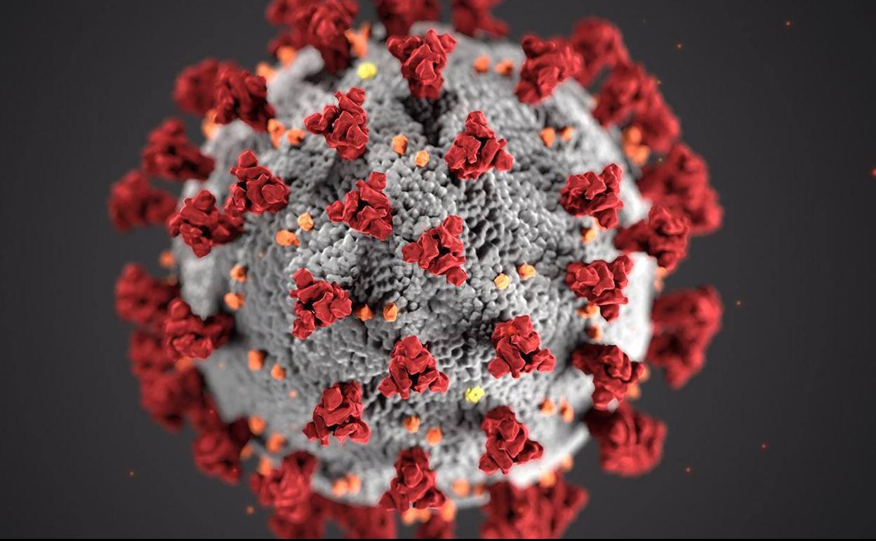 Los casos positivos por coronavirus bajan este viernes la barrera de los 200