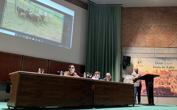 Se han visionado los vídeos a través de una plataforma telemática de Diputación de Badajoz