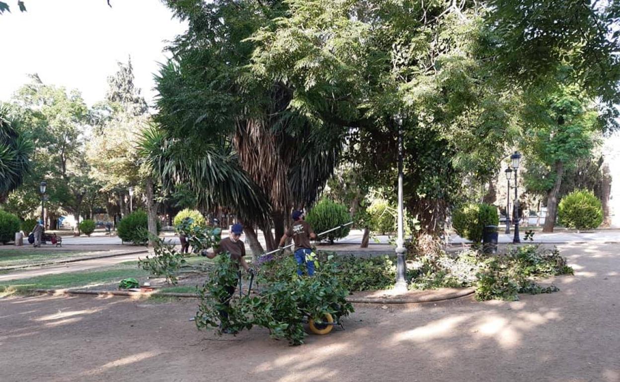 Alumnos de Jardinería trabajando en el Parque de la Paz 