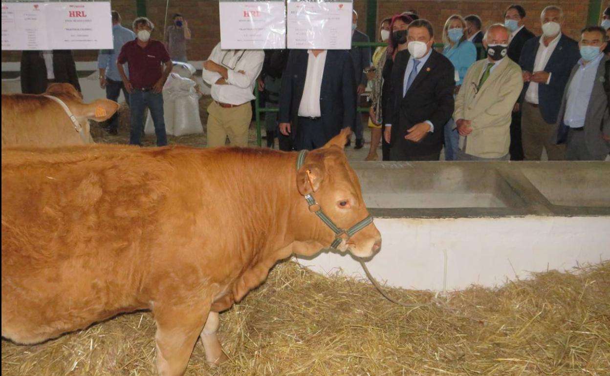 Visita de las autoridades por las naves de ganado tras la inaugura