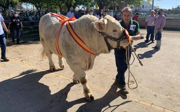 Norteño ganó el primer premio 