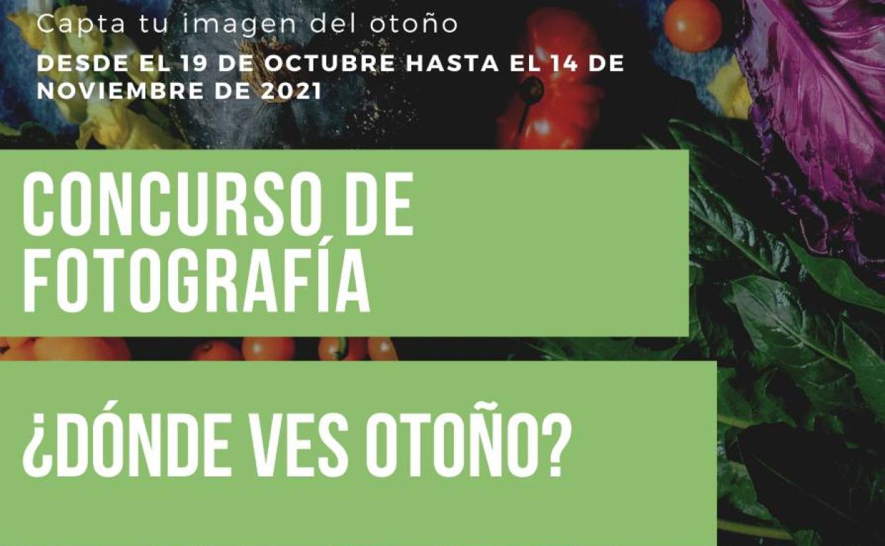 La Mancomunidad Río Bodión convoca un concurso de fotografías que reflejen los elementos del otoño