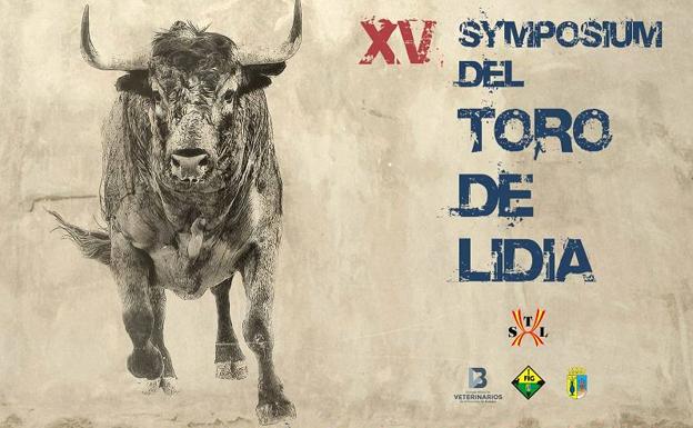 Cartel anunciador de la XV edición 
