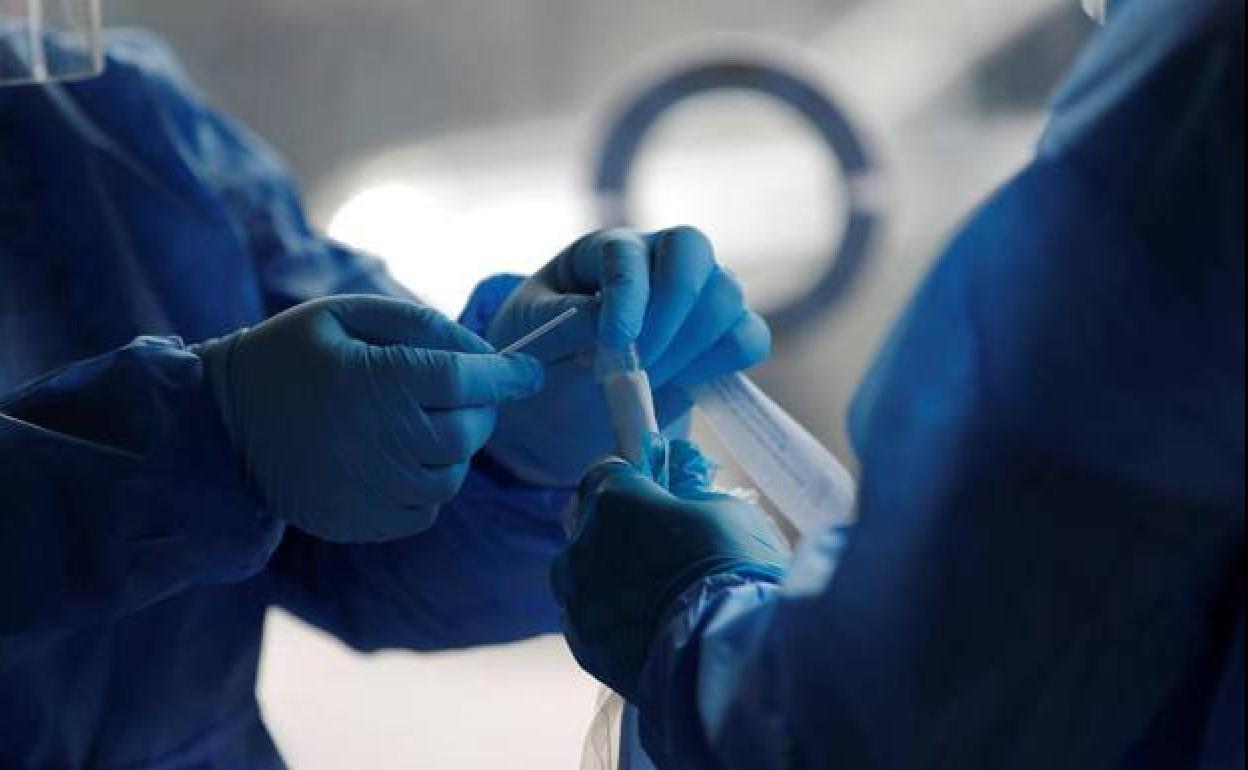 Los casos positivos por coronavirus descienden este lunes hasta los 6