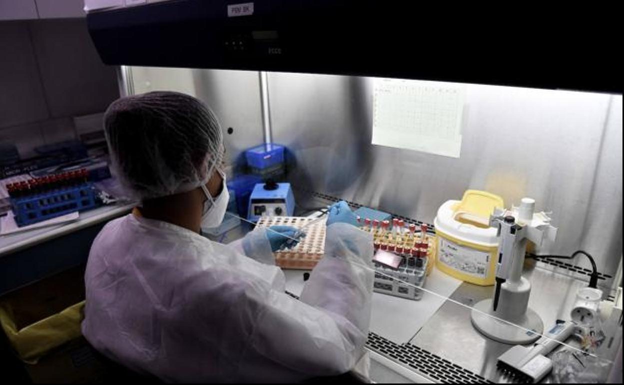 Este jueves se notifican 5 nuevos casos positivos por coronavirus y 5 altas