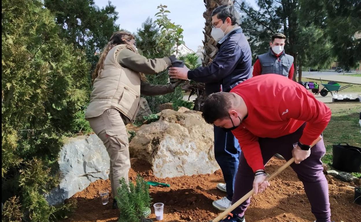 Los alumnos y participantes en las plantaciones 