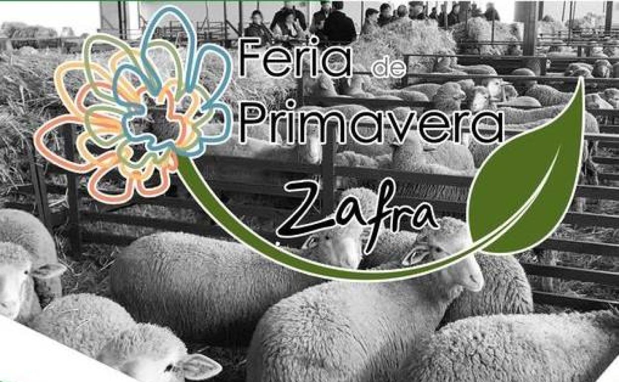 Zafra celebrará su Feria de la Primavera del 1 al 3 de abril con unas 1.000 cabezas de ganado ovino