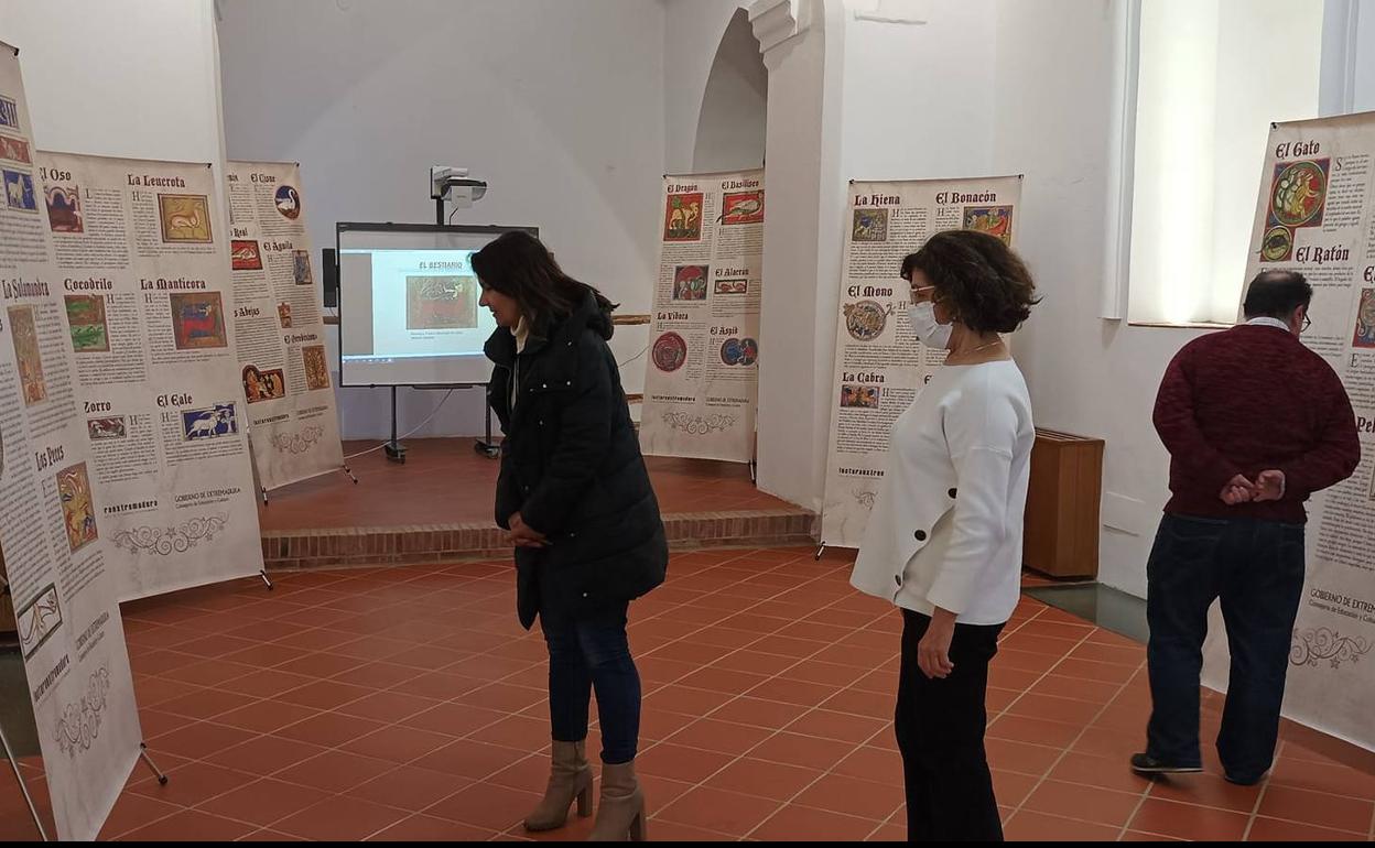 Exposición Bestiario de Iluminaciones 