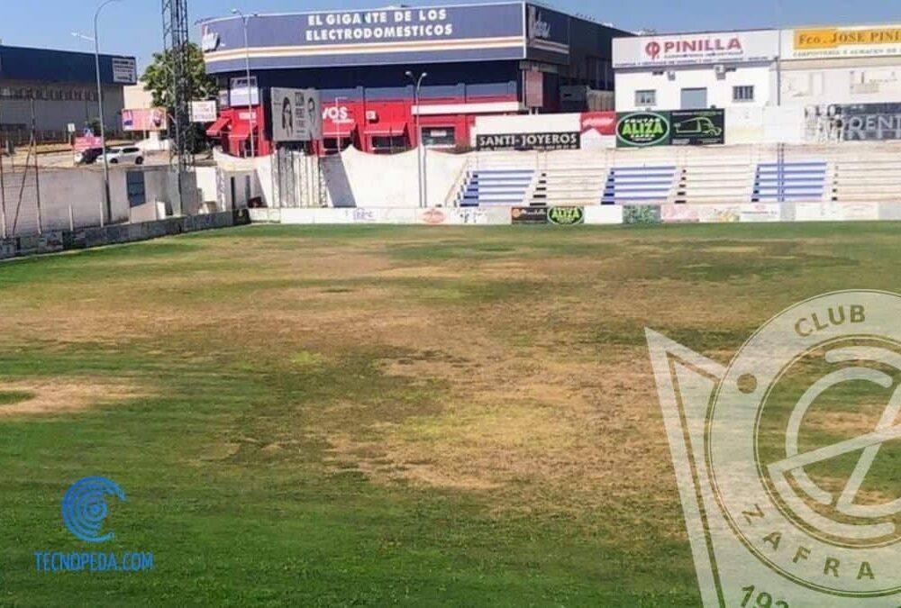 Estado en el que se encuentra parte del césped del Nuevo Estadio 