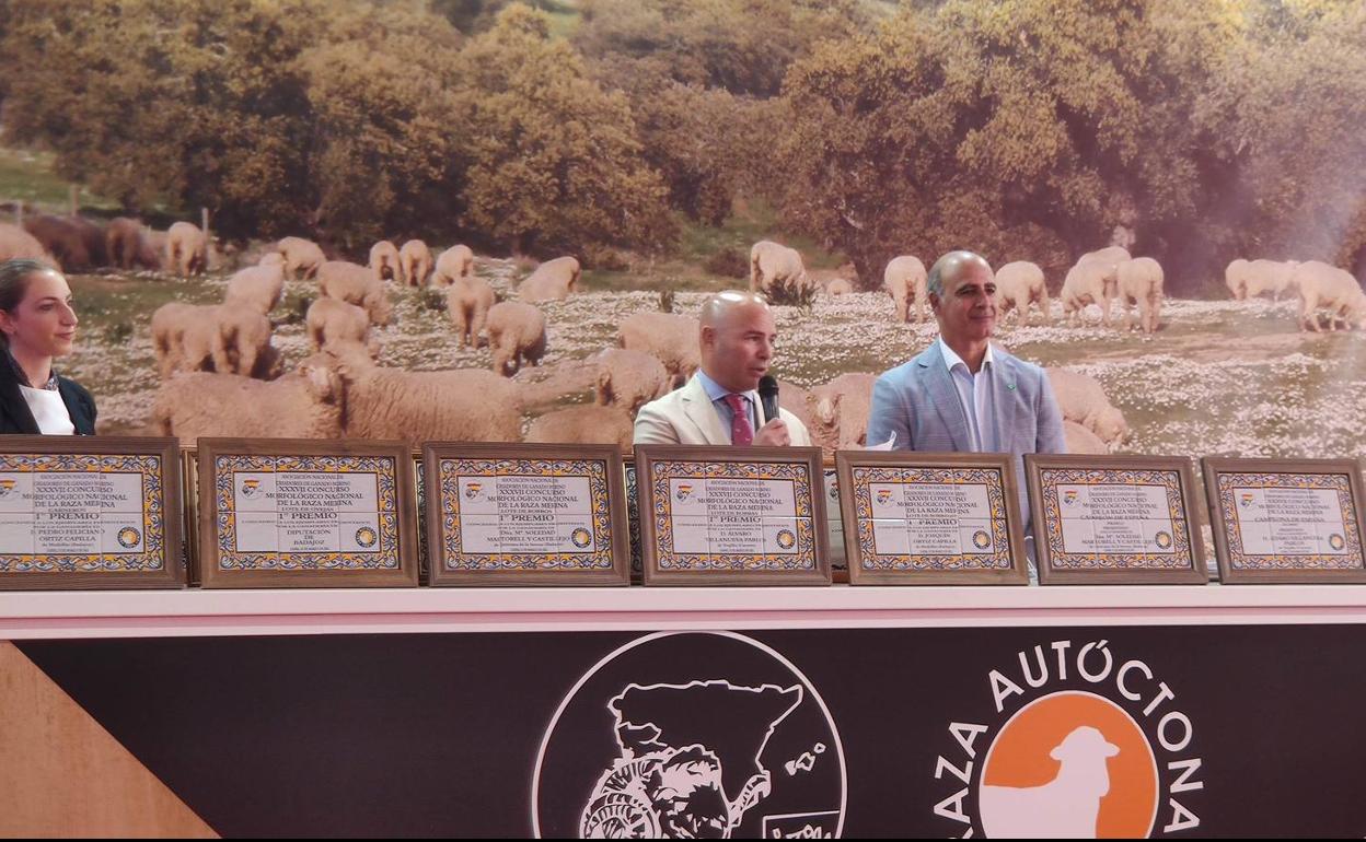 La Asociación de Criadores de Ganado Merino entregó en la FIG los premios de su concurso morfológico nacional