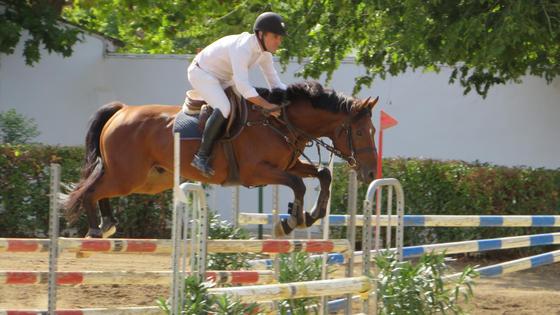 Buen ambiente y competición en la segunda jornada del Campeonato Nacional de Saltos