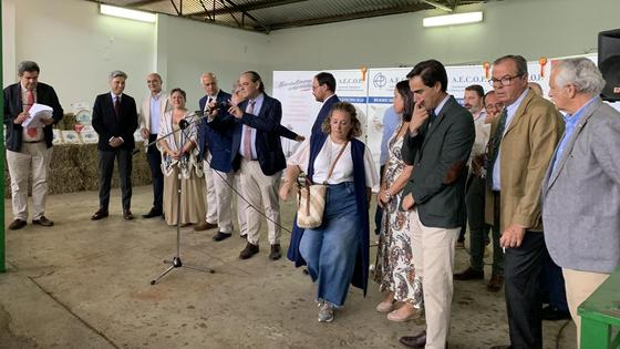 La Asociación Española de Criadores de Ovinos Precoces premió las mejores ganaderías y ejemplares