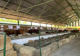 Una de las naves e ganador durante la feria