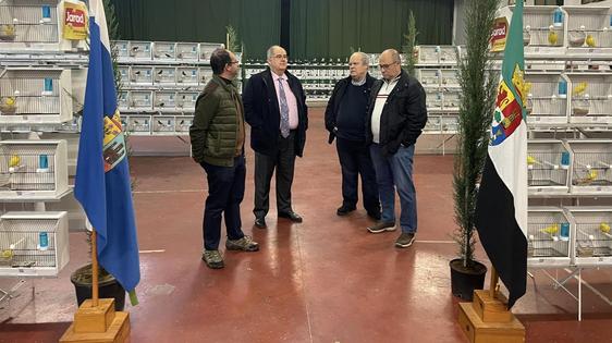 El XXVI Concurso Ornitológico-Exposición 'Ciudad de Zafra' reúne a más de 1200 canarios en la Caseta Municipal