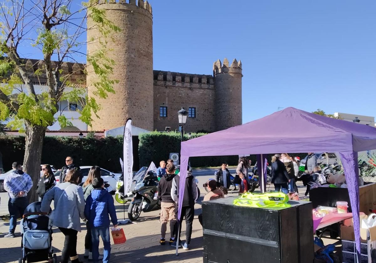 Recogida solidaria en la Plaza del Alcázar