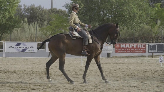 Zafra acoge los Precampeonatos de España de Doma Vaquera