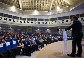 El gerente del área durante su intervención