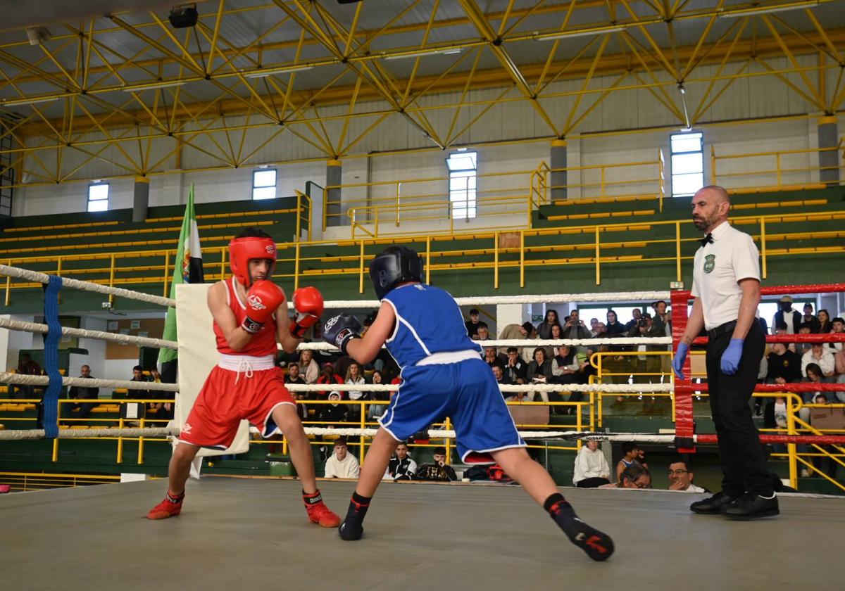 La ciudad es sede del Campeonato de Boxeo de Extremadura
