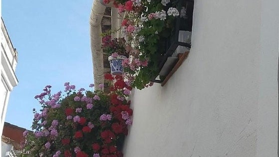 El CIT convoca la cuarta edición de su certamen 'Balcones en Primavera'
