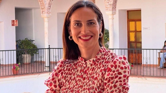 El PSOE critica que el Equipo de Gobierno no optara a las subvenciones europeas para la eficiencia energética en los centros educativos