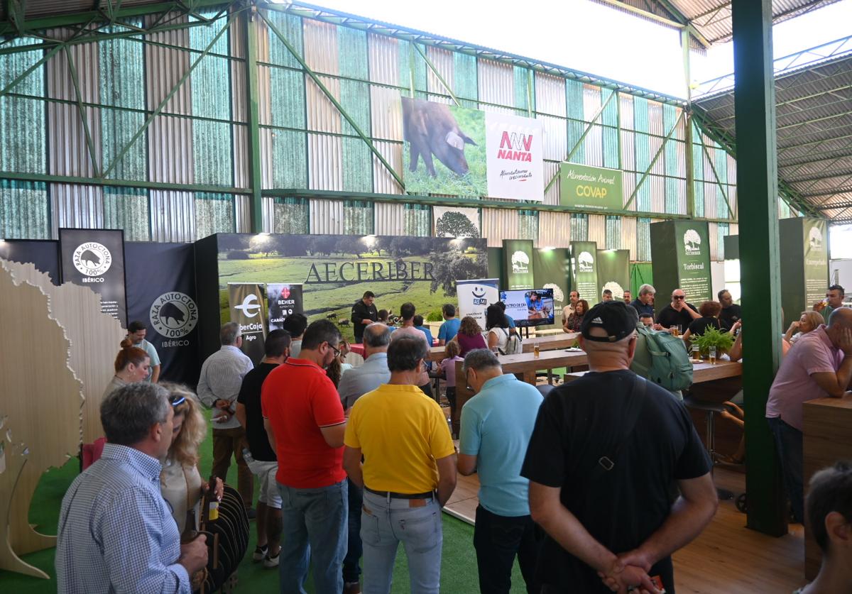 'Jamones solidarios' en la nave de Aeceriber