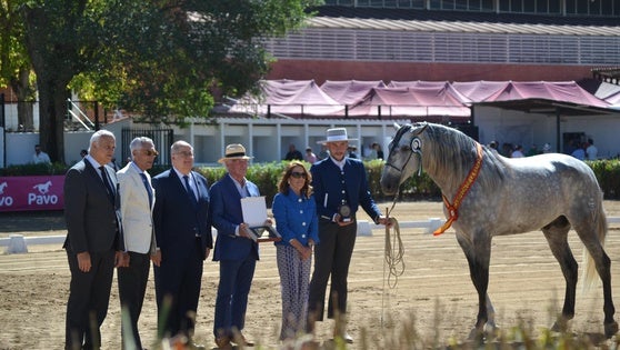 La ganadería de María Fernanda de la Escalada destaca en el Concurso Morfológico de Caballos de Pura Raza Española