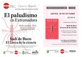Carteles de las actividades