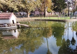 Estanque en el parque donde viven los patos