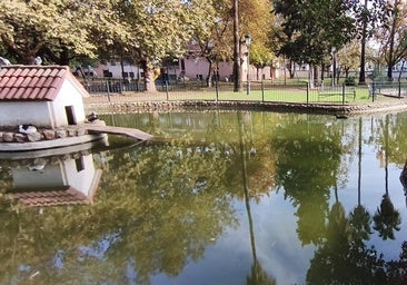 Estanque en el parque donde viven los patos