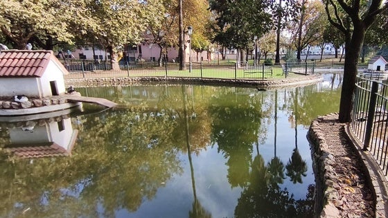 Los patos del Parque de la Paz serán confinados para evitar la gripe aviar