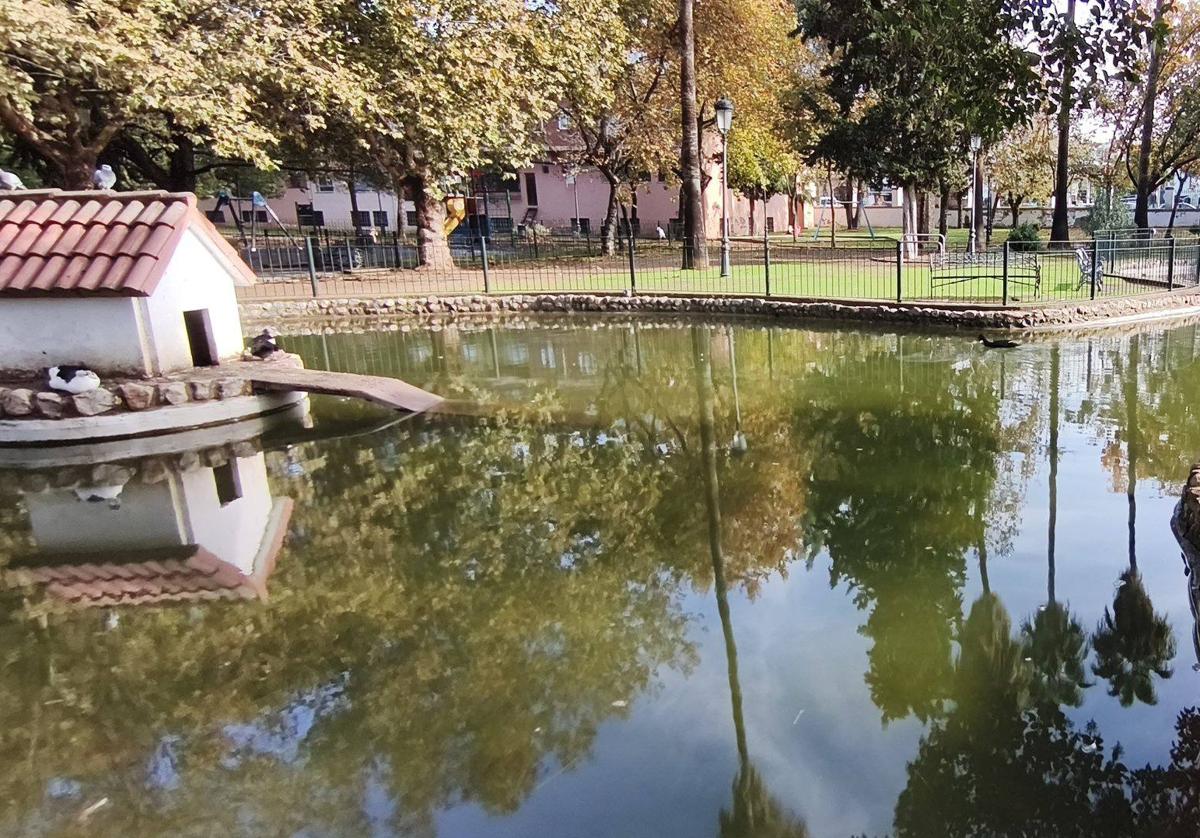 Estanque en el parque donde viven los patos