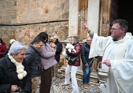 Bendición de mascotas