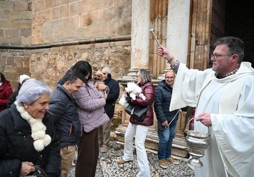 Bendición de mascotas