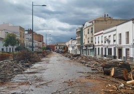 Estado de la calle tras la tala de árboles